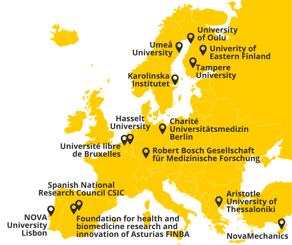 NEMESIS partners on the map of Europe