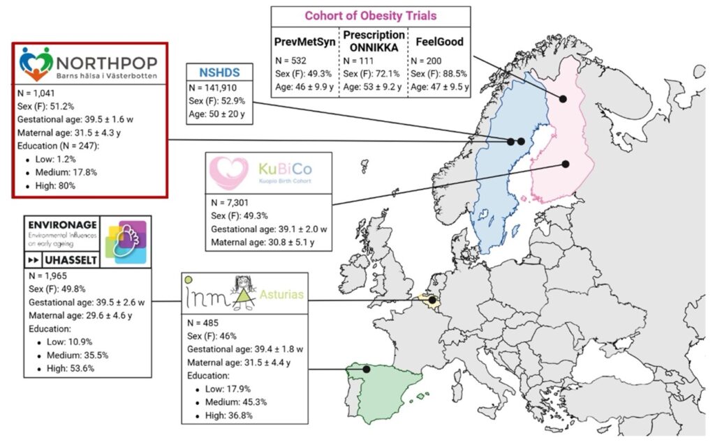 Map of Europe. Spain, Belgium, Sweden and Finland in different colours. Overview of the participating cohorts in NEMESIS. NorthPop (marked with a red outline), is one of four birth cohorts included.
