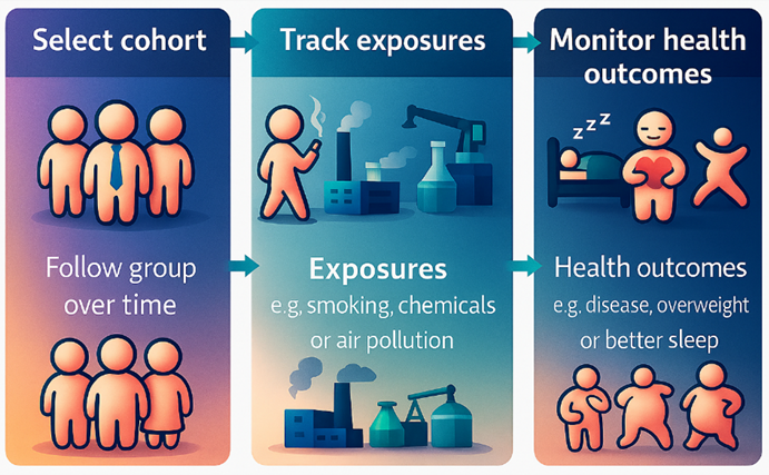 A schematic figure illustrating cohort studies.