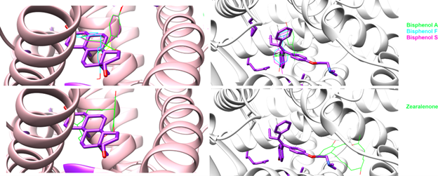 computational picture